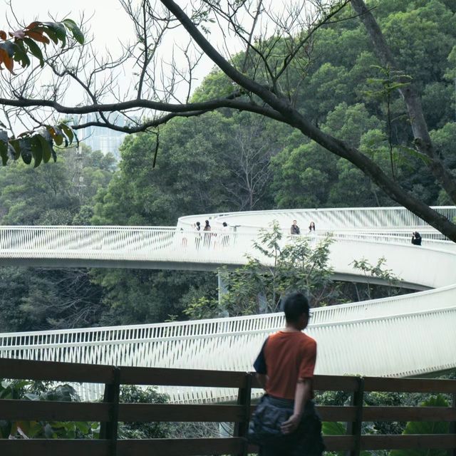 深圳踏青|穿行在城市山林中的天空之境