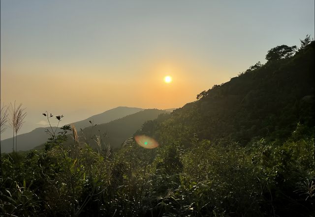 珠海黃楊山森林公園：戶外探險與徒步旅行的理想去處！