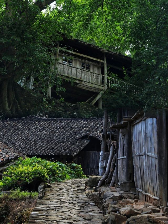 擁有600年歷史的古寨｜布依族古老村寨之一｜這裡有太多的歷史之謎