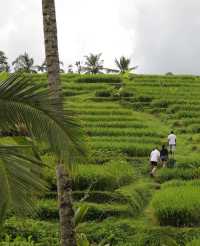 巴厘島 | 安缦黛宁度假村 Amandari Bali