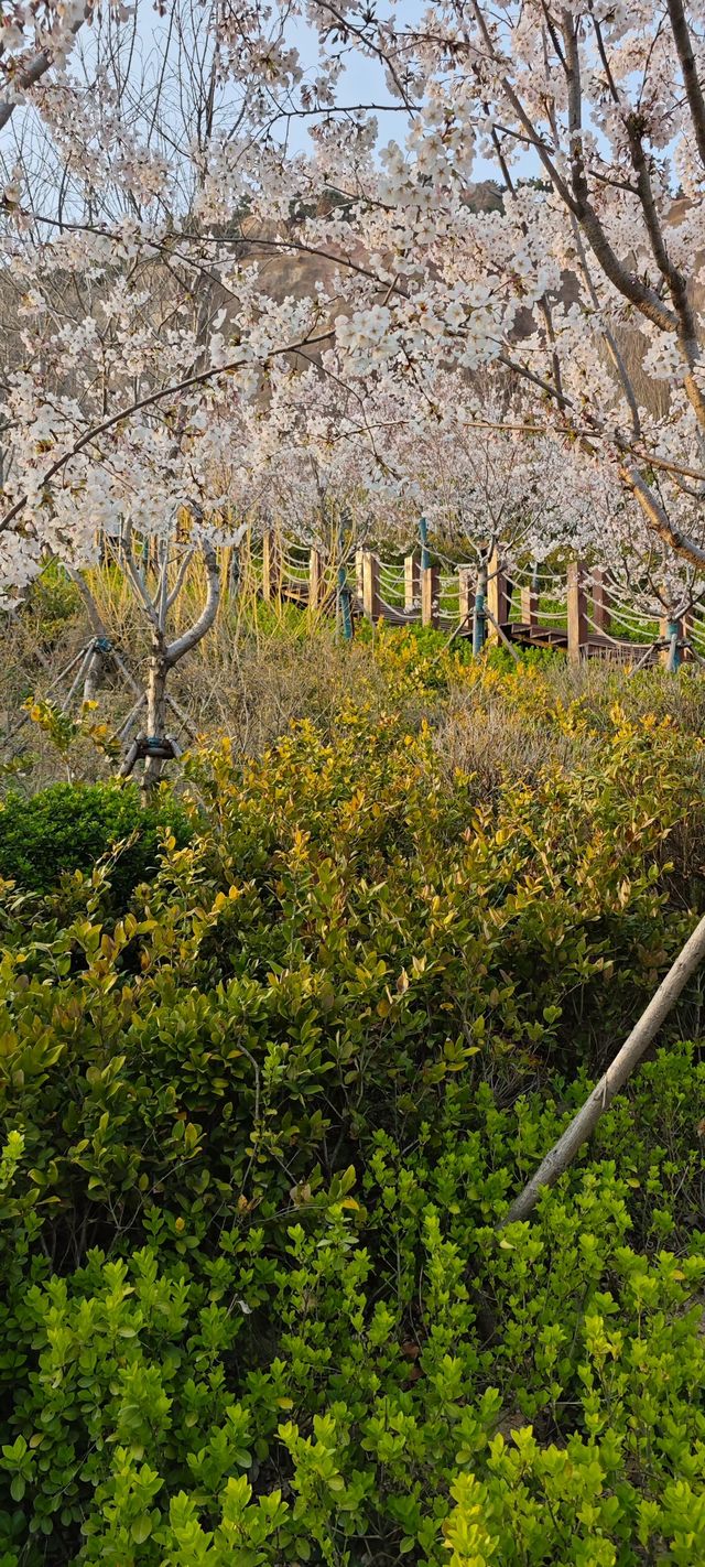 浮山公園越來越美咯