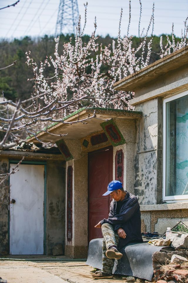 周末好去處，大連的杏花村