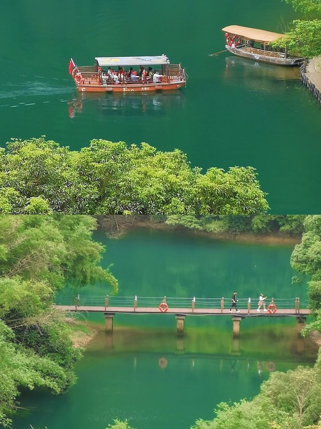 肇慶｜鼎湖山 北回歸線上的綠寶石