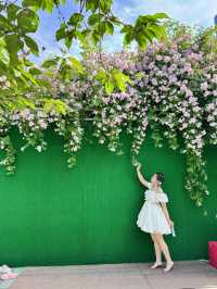 南京環亞凱瑟琳廣場薔薇花盛開！鮮花牆太美了！