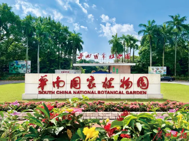 🌿🌺 The Green Jewel of Guangzhou: South China National Botanical Garden 🌺🌿
