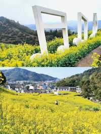 紹興覆卮山景區賞油菜花