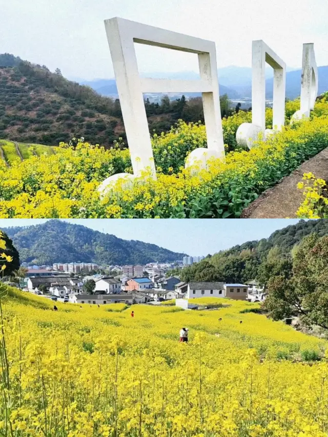 Enjoying the rapeseed flowers at Shaoxing Fuchun Mountain Scenic Area