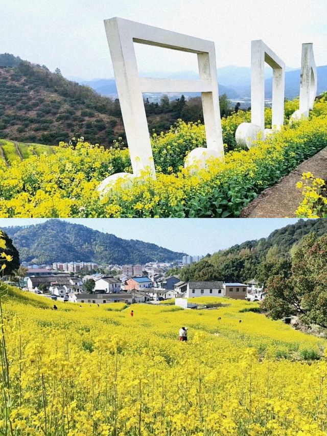 紹興覆卮山景區賞油菜花