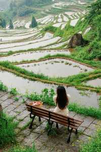 五一出遊好去處麗水雲和梯田