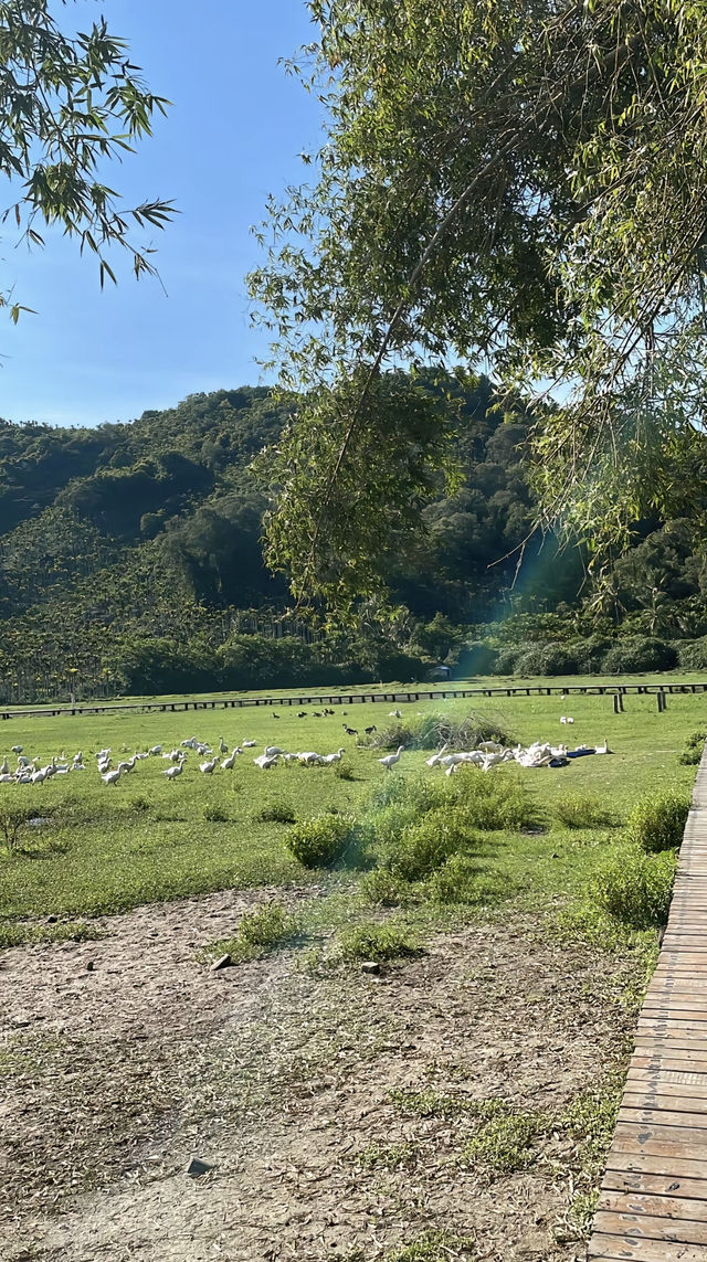 萬寧小眾打卡攻略｜省去濾鏡的田園牧場