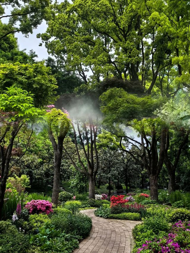 上海市中心的公園都這麼美的嘛！！