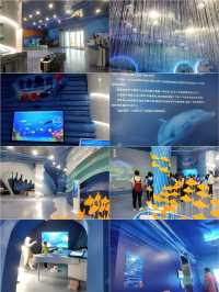 研學旅行——山海海洋之星