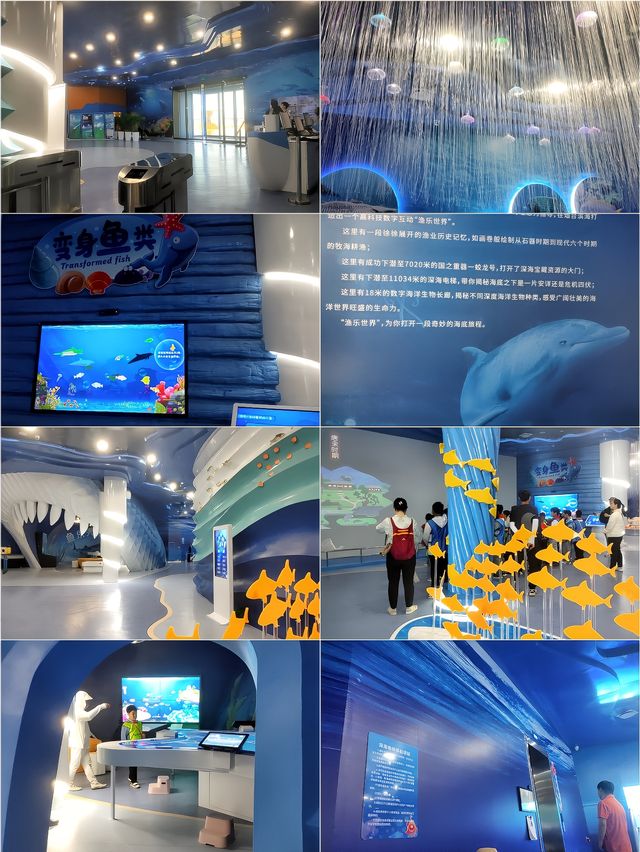 研學旅行——山海海洋之星
