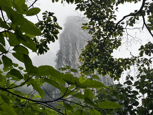 徒步戶外～～這隱藏在深山裡的小山村真的是絕了