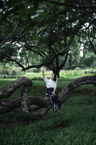 Hidden in a small town in Guangdong | Over 100-year-old ancient tree cluster