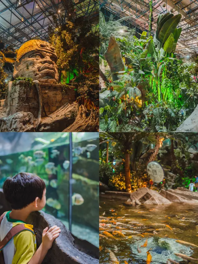 暑假遛娃｜北京海洋館旅行攻略