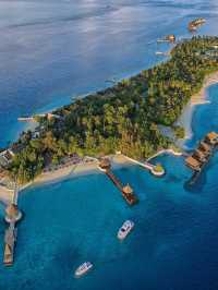 🌴 Maldives Magic: Unbeatable Hotel Deals! 🏖️✨