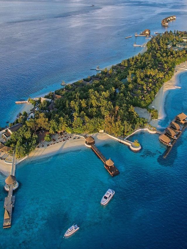 🌴 Maldives Magic: Unbeatable Hotel Deals! 🏖️✨