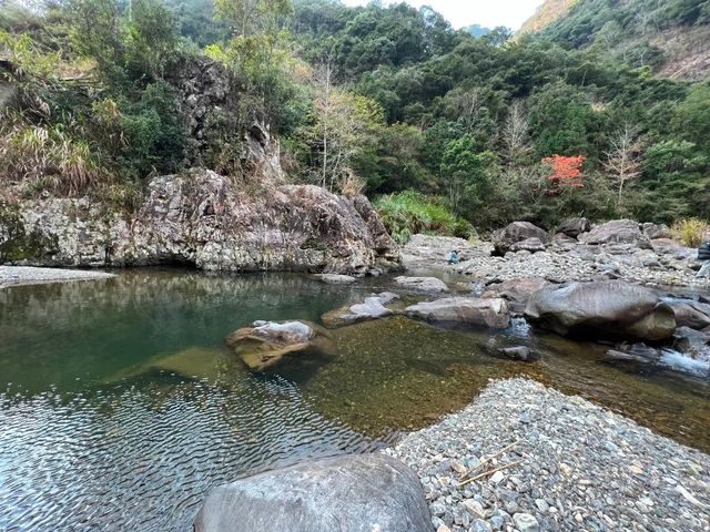 天然氧吧，避暑納涼：福安棕樹山