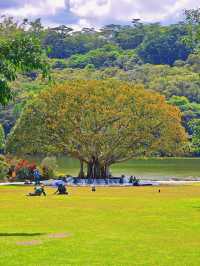 仙湖植物園，我原稱之為深圳小絕境