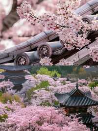 江蘇宜興，一個讓人流連忘返的地方