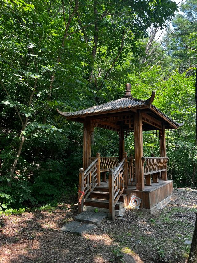 奇景如畫，猴石探秘—撫順猴石國家森林公園旅遊攻略