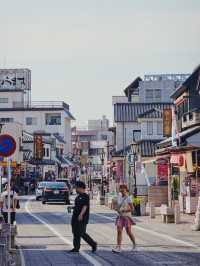日本成田｜轉機半日遊