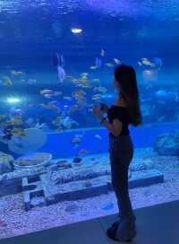 東莞海之韻極地海洋公園