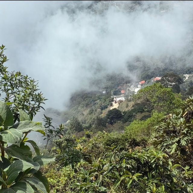 在阿維拉山纜車看不一樣的風景！