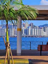 【香港紅磡一日遊】紅鸞道至尖沙咀：維港美景，落日飛車