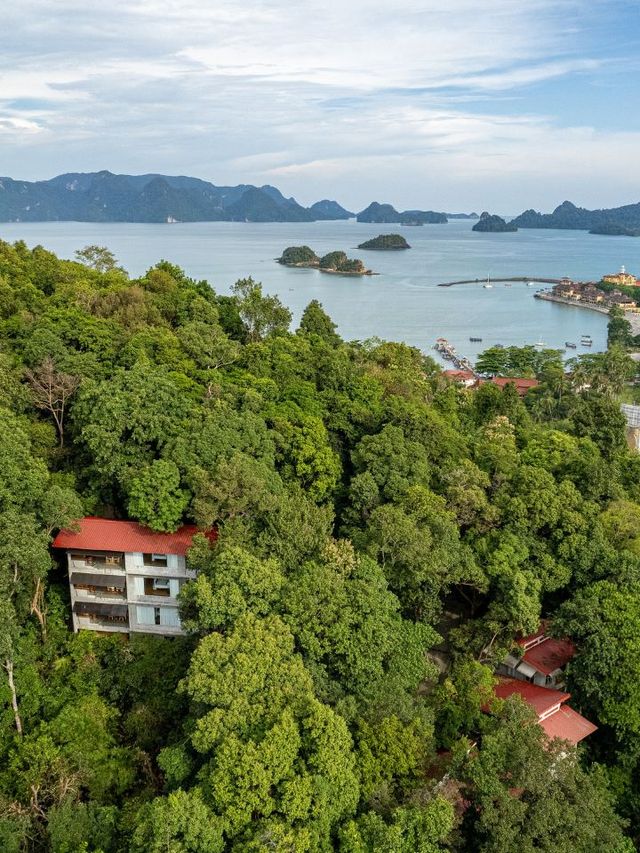 🌴 Langkawi's Lush Hideaway: Ambong Rainforest Retreat 🌟