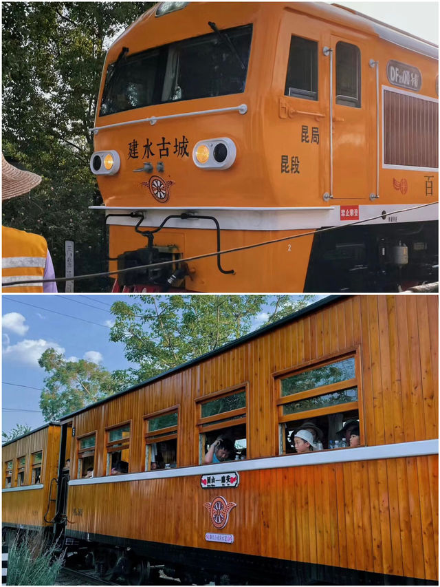 【不是國外，是臨安！解鎖臨安8月全攻略】