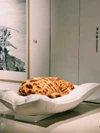 經營定位在當代優秀的有潛力的並具強烈個人風格的藝術家及作品上