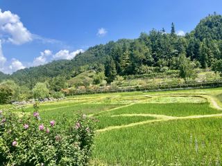 Huaitang—The First Overseas Chinese Village in Anhui