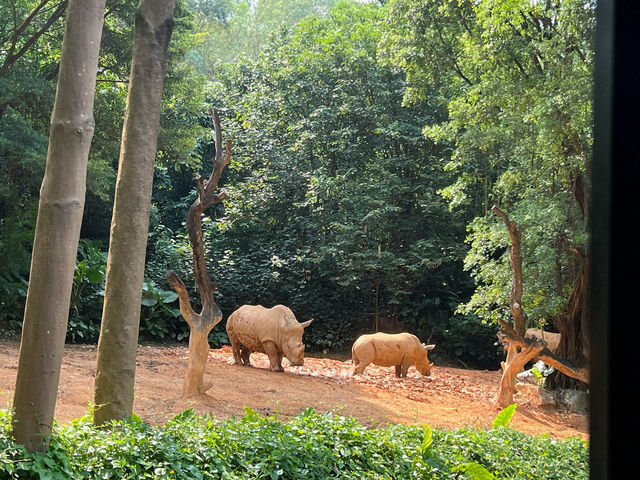 廣州長隆野生動物園