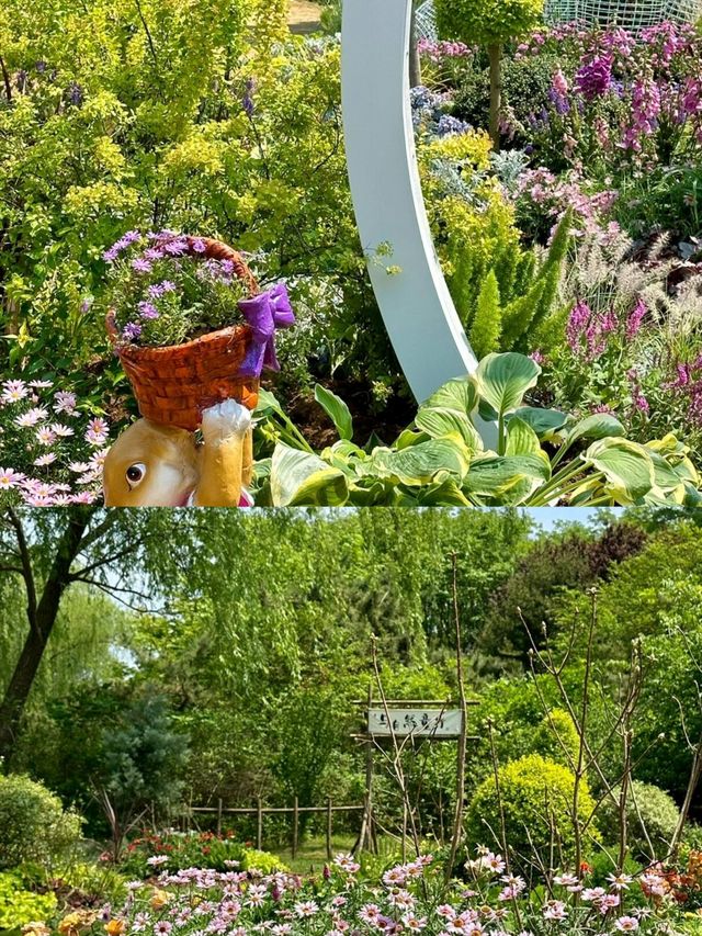 濟南現實版莫奈花園:綠意盎然的花園之城。