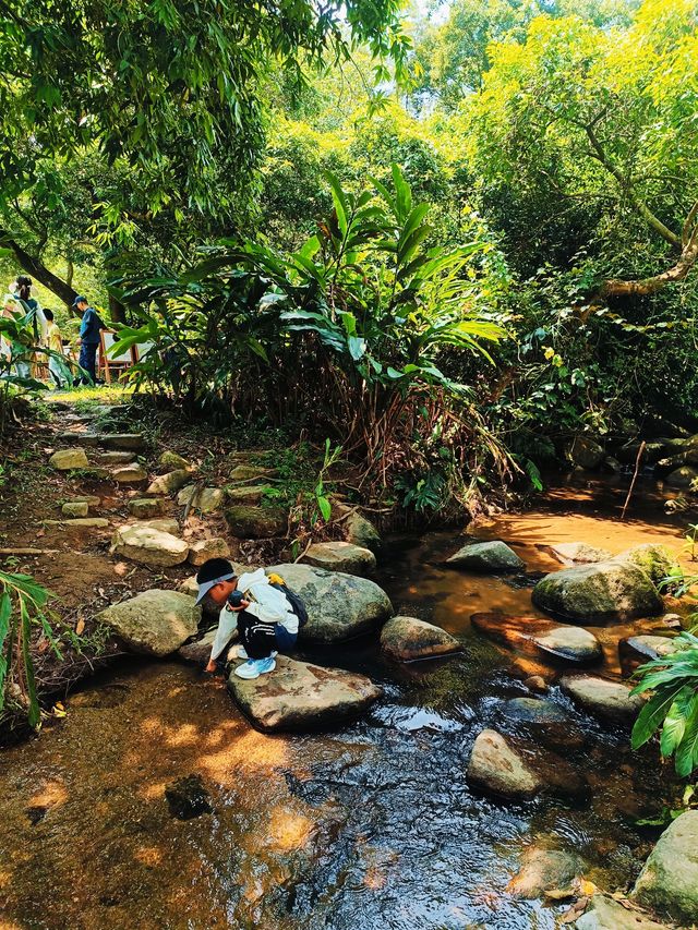 陽台山徑步,一定不能錯過深圳登協公益活動的陽台山站點。