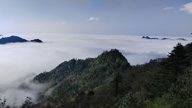 親身體驗後才分享！這份攻略值得你擁有!