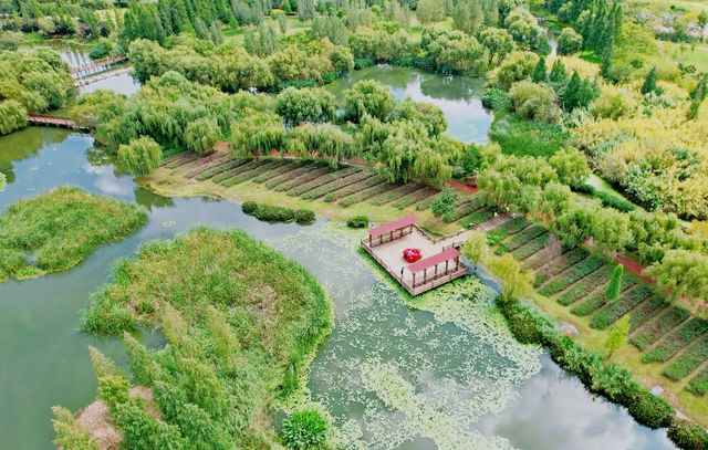 寶豐濕地公園旅遊，環境優美，風景如畫，是休閒遊好去處。