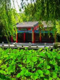 迄今為止，最愛的寶藏縣城 | 濱州惠民。