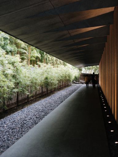 🇯🇵 Nezu Museum: A Quiet Art Treasure in Tokyo | Trip.com Tokyo