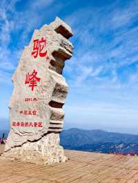 天然氧吧｜駝梁。
