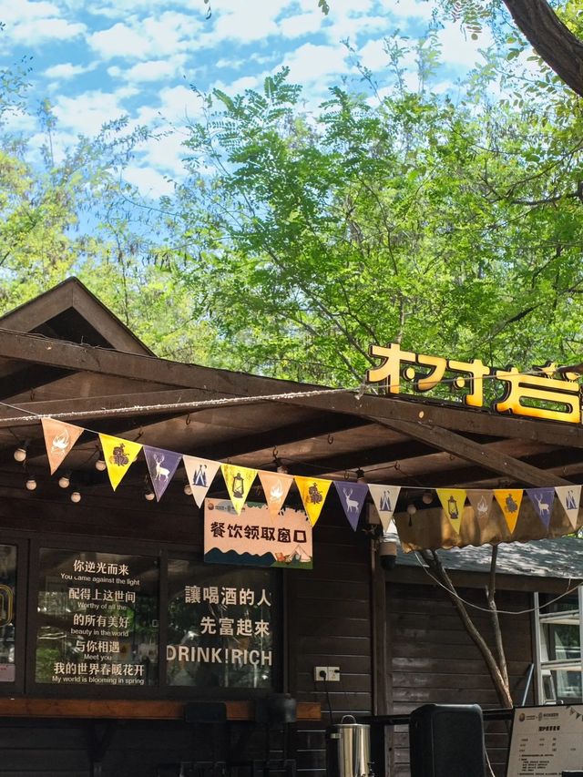 鄭州附近的森林露營地，這份愜意誰能懂？