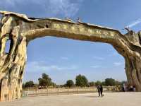 面積最大的塔里木胡楊林公園。