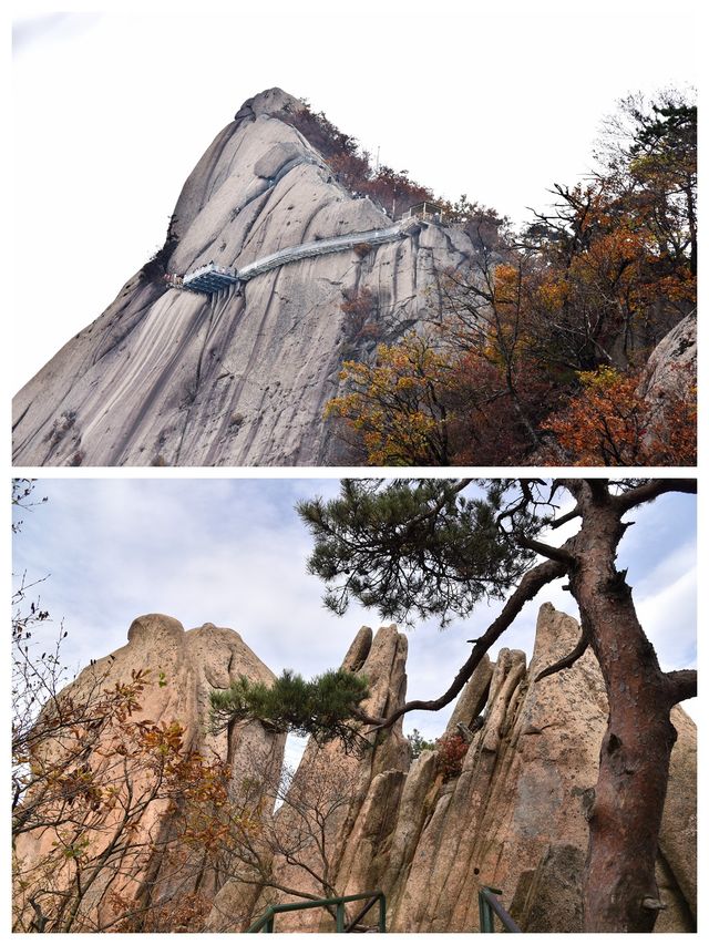 丹東鳳城鳳凰山，秋賞紅葉漫山遍野，層林盡染色彩斑斕。