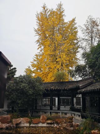 高郵/一個值得去慢慢品味的城市。