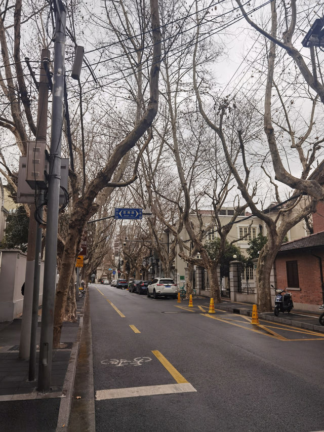 思南書局文藝青年的打卡聖地！。