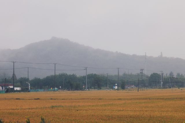 在松江天馬山下，於稻田中尋覓江南煙雨。