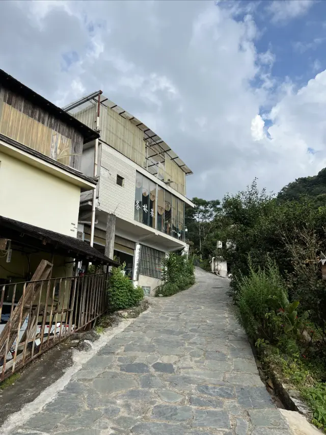 Stay in a Village | Drink Spring Tea and Take Photos of the Starry Sky in Mangjing, Yunnan.