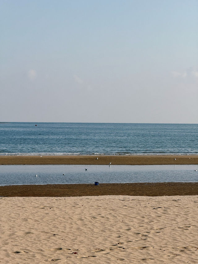 𓅯ˎˊ 秋冬的小島 —— 在海邊「餵海鷗」 。